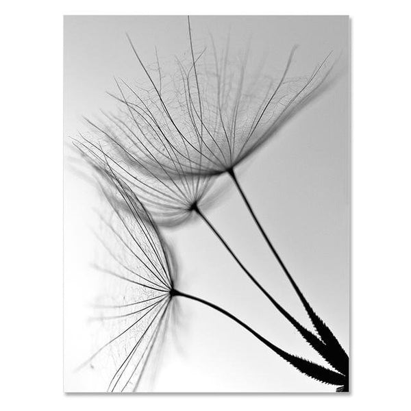 Dandelion Flower Canvas Painting Modern Black White Art Pictures for H