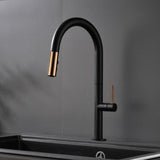 360 Degree Pull Out Luxury Kitchen Faucet - Avenila - Interior Lighting, Design & More