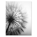 Dandelion Flower Canvas Painting Modern Black White Art Pictures for Home Decoration Living Room Abstract Wall Poster No Frame - Avenila - Interior Lighting, Design & More