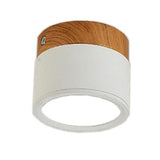 Multi-Color LED Modern Ceiling Lights - Avenila - Interior Lighting, Design & More