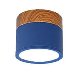 Multi-Color LED Modern Ceiling Lights - Avenila - Interior Lighting, Design & More