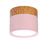 Multi-Color LED Modern Ceiling Lights - Avenila - Interior Lighting, Design & More